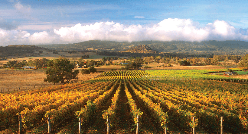 Hanging Rock Winery Vineyard